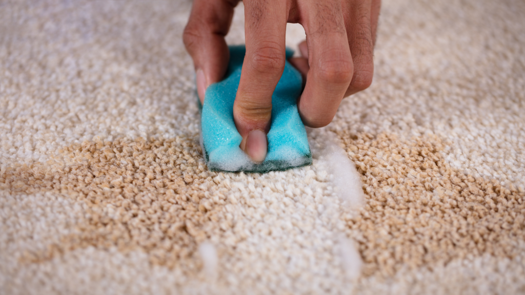 Stain free carpet | Poplar Carpets